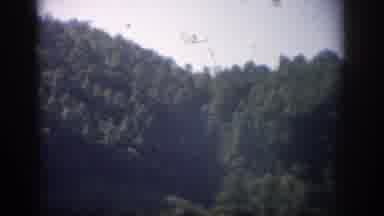 Florida USA (1959): View Of Tall Mountain With Many Green Trees And Is Forested On