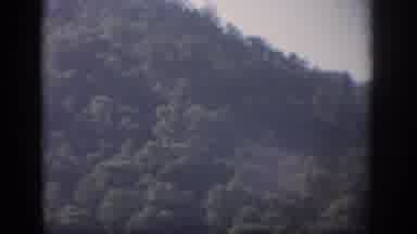 Florida USA (1959): Forested Hillside Landscape Vacation