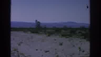 Blainsport Pennsylvania USA (1962): Man To His Roadside Car To Walk His Dog In A