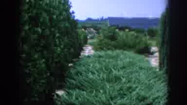 Blainsport Pennsylvania USA (1962): Views Of Person Trimming Red,Yellow Rose