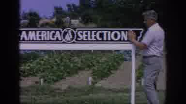 Blainsport Pennsylvania USA (1962): Gentleman Standing Near All-America Selections