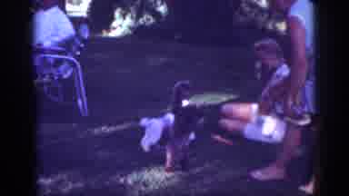 Blainsport Pennsylvania USA (1962): Dogs Poodle Owners Training Pompous Black