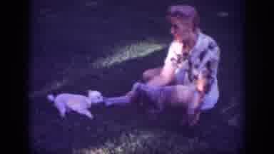 Blainsport Pennsylvania USA (1962): A Beautiful Woman Playing With Her Pet Dogs In