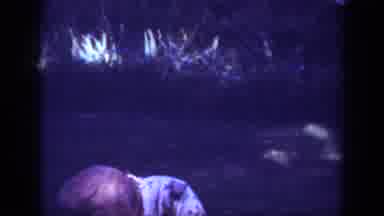 Blainsport Pennsylvania USA (1962): The Beautiful Dog