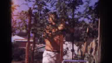 Blainsport Pennsylvania USA (1962): A Shirtless Man Outside Trimming Trees In His