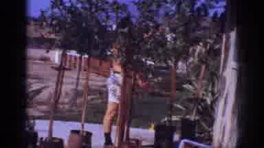 Blainsport Pennsylvania USA (1962): Man Talking And Looking At His Trees On His