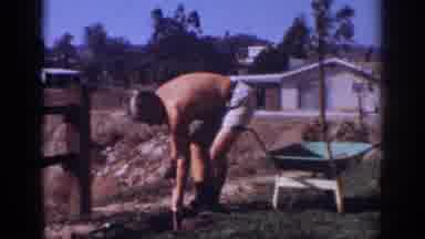 Blainsport Pennsylvania USA (1962): Man Planting Flowers With A Shovel Outside On