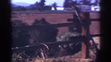 Blainsport Pennsylvania USA (1962): Work Being Done Near A Fence On A Very Hot