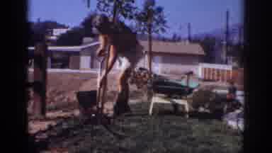 Blainsport Pennsylvania USA (1962): Man Planting The Tree On The Ground