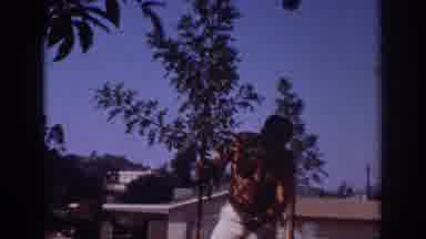 Blainsport Pennsylvania USA (1962): Restore Nature With Gardening