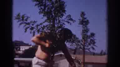Blainsport Pennsylvania USA (1962): A Shirtless Man Planting A Tree And Then