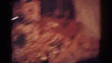 Blainsport Pennsylvania USA (1962): Women By Christmas Tree Playing With Pet Dog