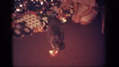Blainsport Pennsylvania USA (1962): Woman Playing With Puppy By The Christmas