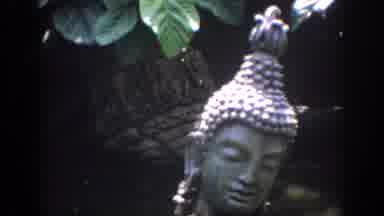 Anaheim California USA (1962): Views Of Statue Head Calm Lagoon Waterfall Trees