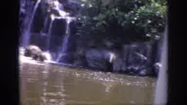 Anaheim California USA (1962): Beautiful Panoramic View Of Waterfalls Over Rock