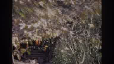 Anaheim California USA (1962): A Small Shack Seems To Be On Fire & A Little Away