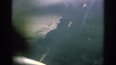 Anaheim California USA (1962): View Out Of Plane Window With Propeller Visible