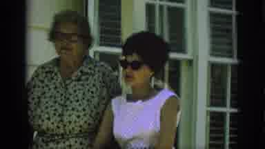 Anaheim California USA (1962): Tree In The Forest And With Another Trees In The