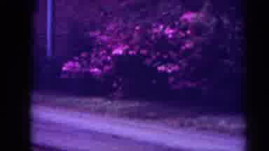 Raleigh North Carolina USA (1962): Man Picking Up