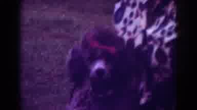 Raleigh North Carolina USA (1962): Older Woman With Her Dog In An Outdoor Setting