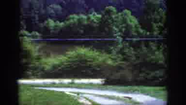 Raleigh North Carolina USA (1962): There Are Many Trees And One Road