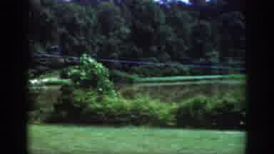 Raleigh North Carolina USA (1962): Green Grass Foliage All Over The Landscape What