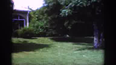 Raleigh North Carolina USA (1962): Camera Panning Though Garden Showing Trees,