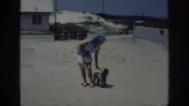 Raleigh North Carolina USA (1962): Woman Training A Dog On A Leash To Sit Down
