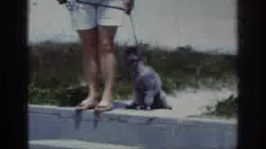 Raleigh North Carolina USA (1962): Woman Walking A Dog