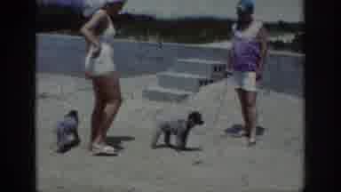 Raleigh North Carolina USA (1962): Two Women Walking Two Grey Poodle Dogs On