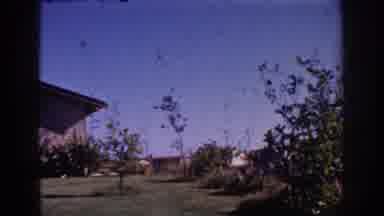 Yorba Linda California USA (1962): View Of Sapling Trees In Front Yard Of Modern
