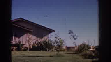 Yorba Linda California USA (1962): Several Small Trees And Bushes Blow In The Wind