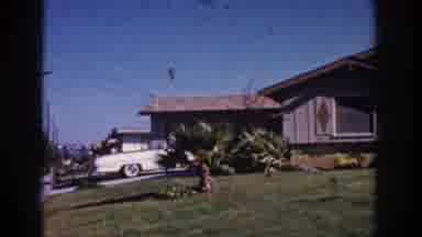 Yorba Linda California USA (1962): A Small Dog Playing In A Yard Then A Shot