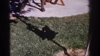 Yorba Linda California USA (1962): There Are Our Dogs Playing While We Eat Our