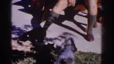 Yorba Linda California USA (1962): A Woman Plays With A Small Dog