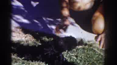 Yorba Linda California USA (1962): Playing With Puppies Puppies Seek Attention