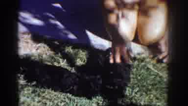 Yorba Linda California USA (1962): A Person Cuddling With A Small Dog Outside In