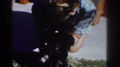Yorba Linda California USA (1962): Woman Plays With Puppies