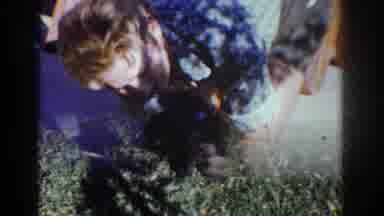 Yorba Linda California USA (1962): People Petting A Grown Dog And Puppies By A
