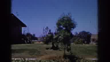 Yorba Linda California USA (1962): Rural House With Trees And A Beautiful View On