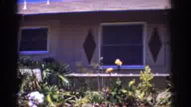 Yorba Linda California USA (1962): Someone Videotaping Landscape And House In Old