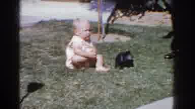 Yorba Linda California USA (1962): Upset Baby Sitting On Grass With A Dog And Some