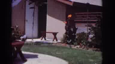 Yorba Linda California USA (1962): Two Dogs Running To Greet You In Your Backyard