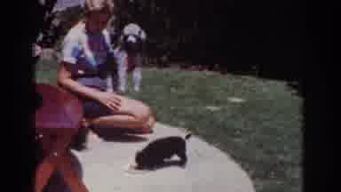 Yorba Linda California USA (1962): Two Small Black Dogs Eating Off A Plate While A