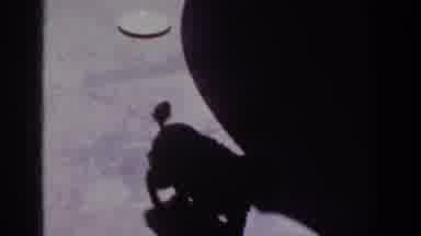 Yorba Linda California USA (1962): Small Dog With Black Hair Resembling A Small