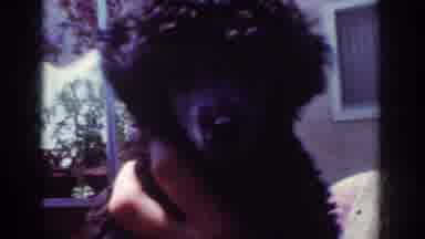 Yorba Linda California USA (1962): Little Poodle And The Woman Who Cares For It