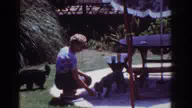 Yorba Linda California USA (1962): Woman Plays With Two Dogs