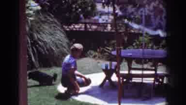 Yorba Linda California USA (1962): Person Playing With Dogs At A Picnic Area As