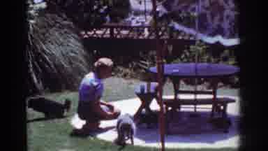 Yorba Linda California USA (1962): A Woman Is Kneeling Down On Her Back Porch