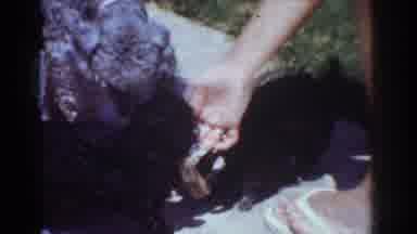 Yorba Linda California USA (1962): A Person Off-Screen Hands A Toy To Three Young